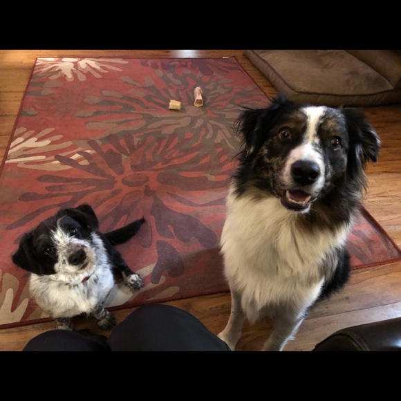 Meet your Posher, Cathy - Picture 1 of 1